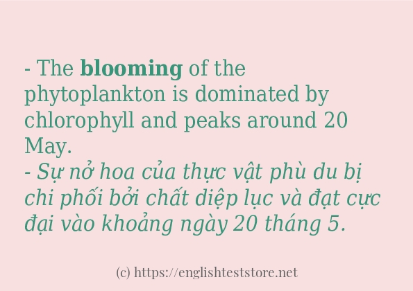 Các câu ví dụ và cách sử dụng từ blooming