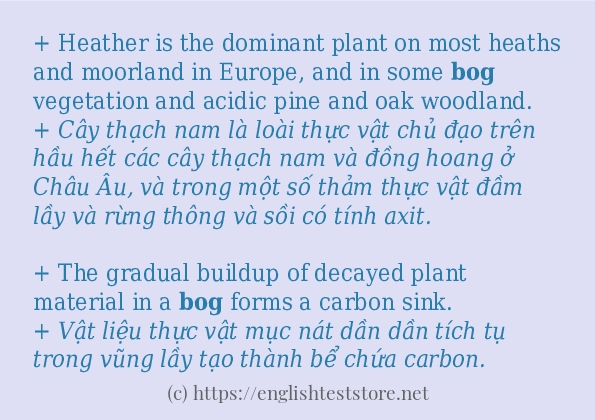 Các câu ví dụ và cách sử dụng từ bog