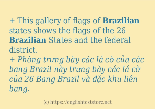 Các câu ví dụ và cách sử dụng từ brazilian