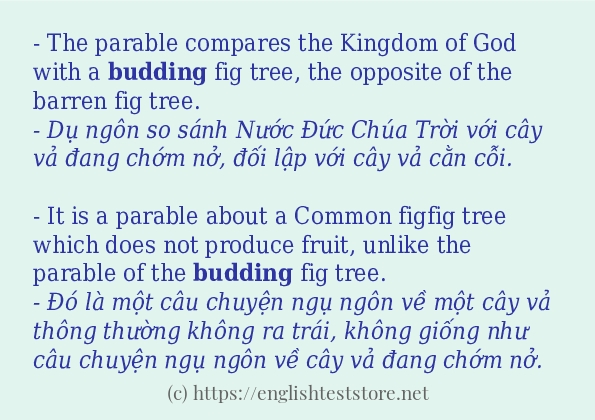 Các câu ví dụ và cách sử dụng từ budding