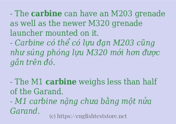 Các câu ví dụ và cách sử dụng từ carbine