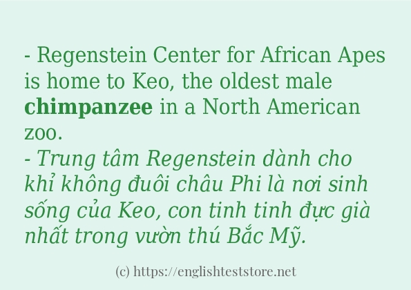 Các câu ví dụ và cách sử dụng từ chimpanzee