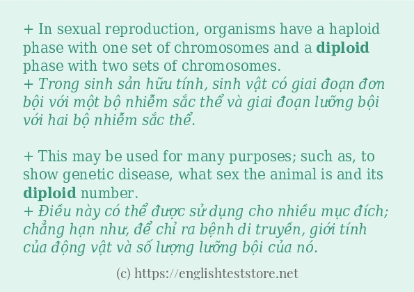 Các câu ví dụ và cách sử dụng từ diploid