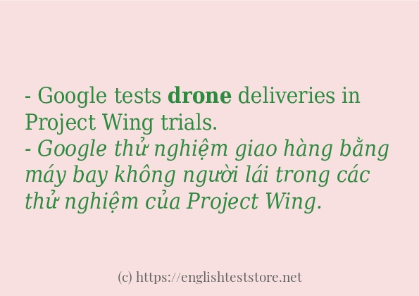 Các câu ví dụ và cách sử dụng từ drone