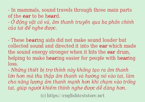 Các câu ví dụ và cách sử dụng từ ear