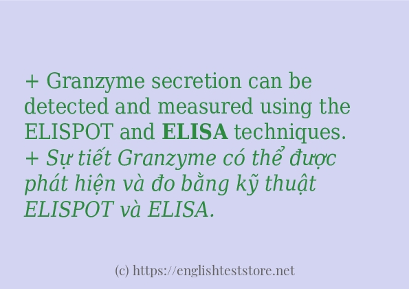 Các câu ví dụ và cách sử dụng từ elisa