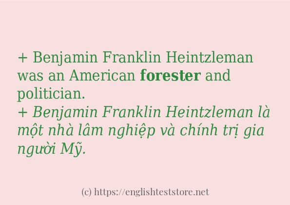 Các câu ví dụ và cách sử dụng từ forester