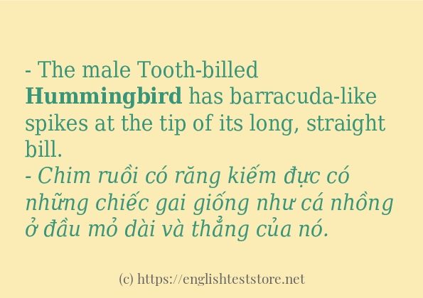 Các câu ví dụ và cách sử dụng từ hummingbird