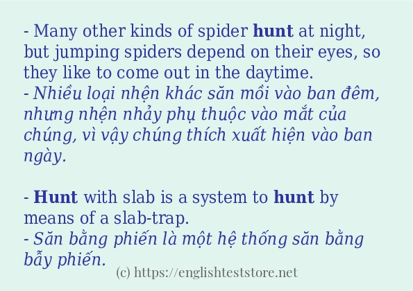 Các câu ví dụ và cách sử dụng từ hunt