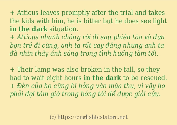 Các câu ví dụ và cách sử dụng từ in the dark