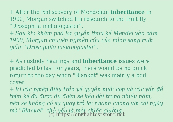 Các câu ví dụ và cách sử dụng từ inheritance
