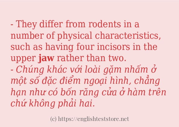 Các câu ví dụ và cách sử dụng từ jaw