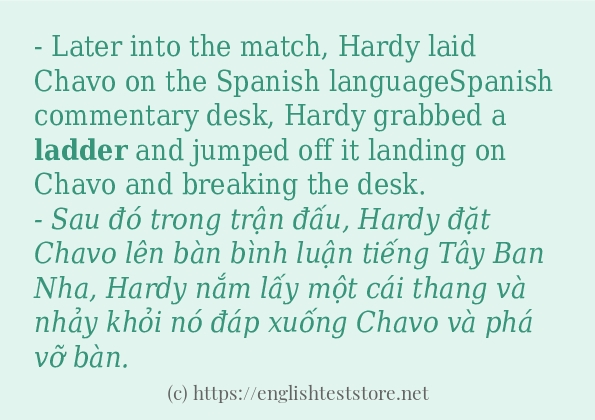 Các câu ví dụ và cách sử dụng từ ladder