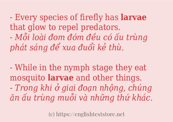 Các câu ví dụ và cách sử dụng từ larvae