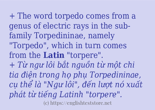 Các câu ví dụ và cách sử dụng từ latin