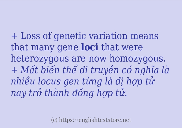 Các câu ví dụ và cách sử dụng từ loci