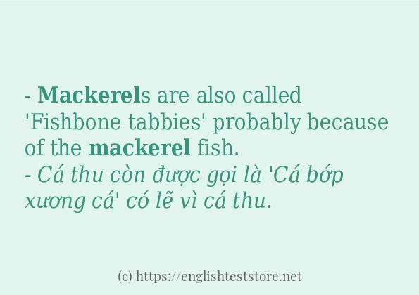 Các câu ví dụ và cách sử dụng từ mackerel