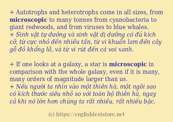 Các câu ví dụ và cách sử dụng từ microscopic Các câu ví dụ và cách sử dụng từ microscopic