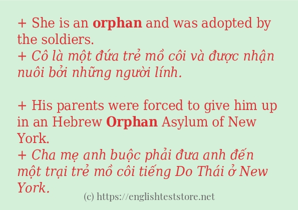 Các câu ví dụ và cách sử dụng từ orphan