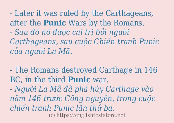 Các câu ví dụ và cách sử dụng từ punic