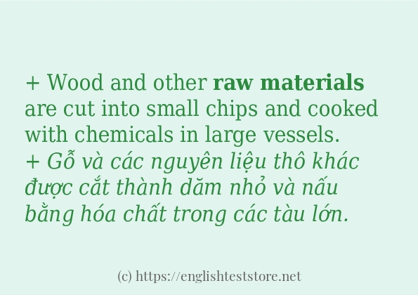 Các câu ví dụ và cách sử dụng từ raw materials
