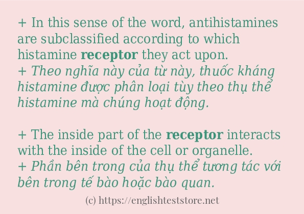 Các câu ví dụ và cách sử dụng từ receptor Các câu ví dụ và cách sử dụng từ receptor