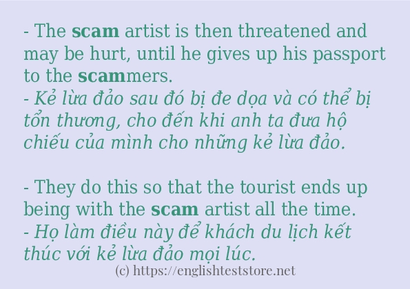 Các câu ví dụ và cách sử dụng từ scam