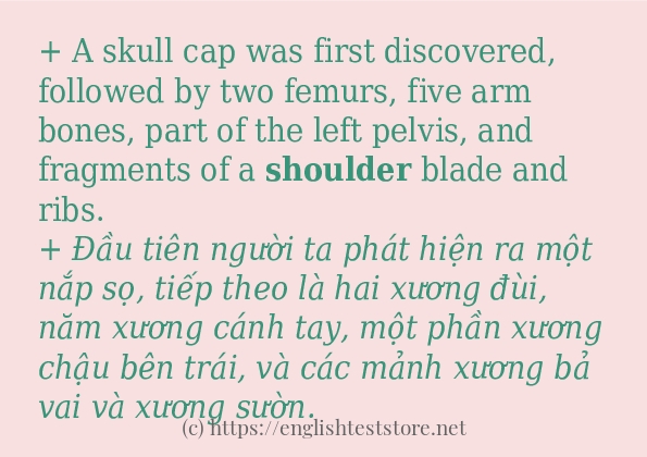 Các câu ví dụ và cách sử dụng từ shoulder Các câu ví dụ và cách sử dụng từ shoulder