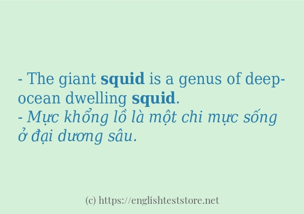 Các câu ví dụ và cách sử dụng từ squid