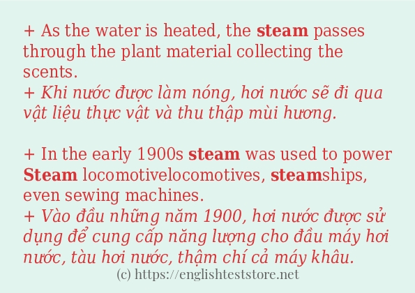Các câu ví dụ và cách sử dụng từ steam
