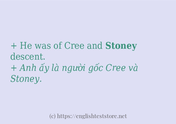 Các câu ví dụ và cách sử dụng từ stoney