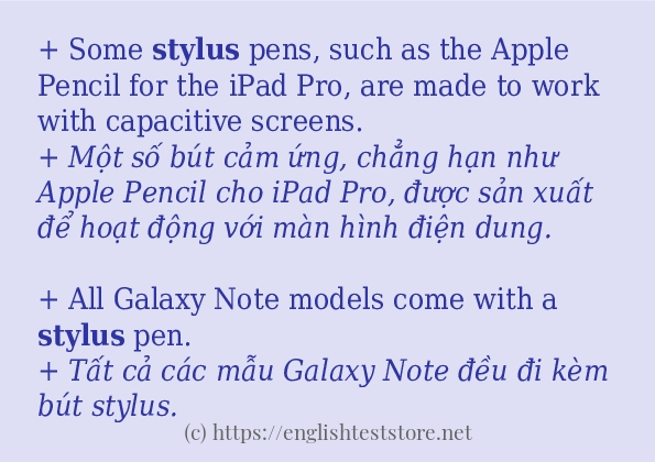 Các câu ví dụ và cách sử dụng từ stylus