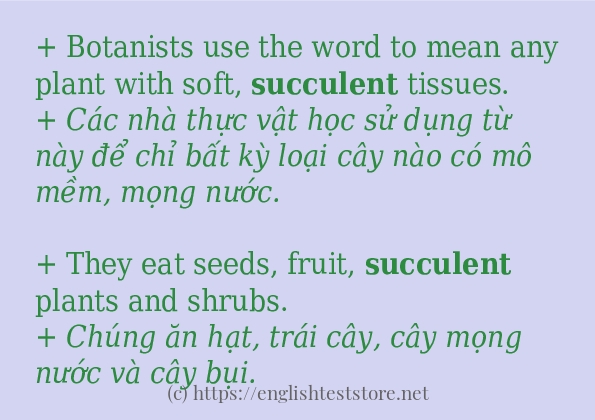 Các câu ví dụ và cách sử dụng từ succulent