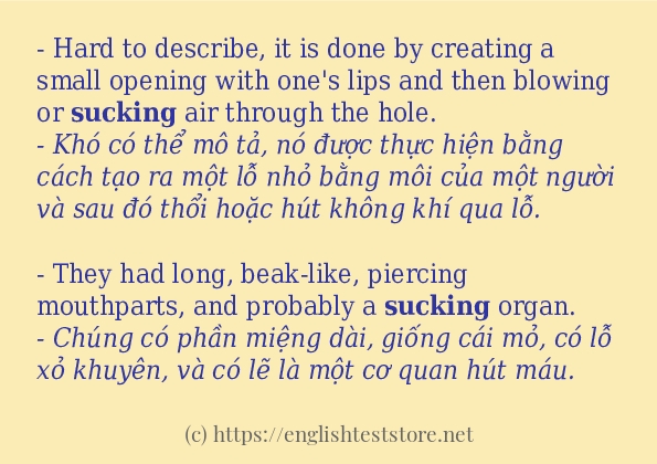 Các câu ví dụ và cách sử dụng từ sucking