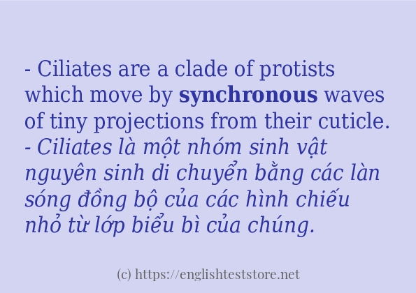 Các câu ví dụ và cách sử dụng từ synchronous