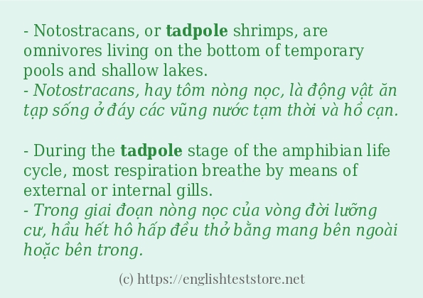 Các câu ví dụ và cách sử dụng từ tadpole