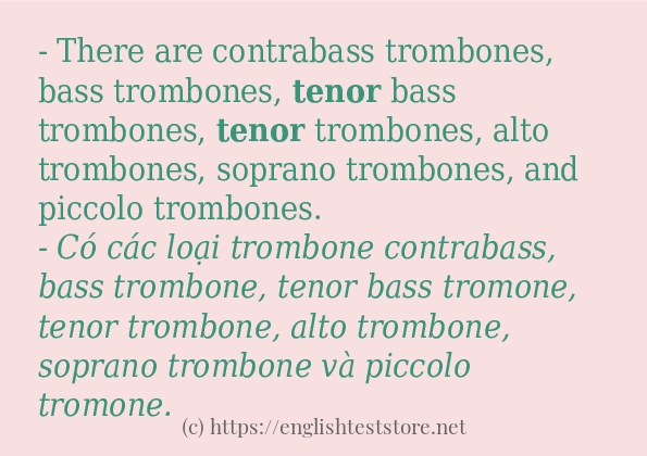 Các câu ví dụ và cách sử dụng từ tenor