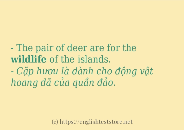 Các câu ví dụ và cách sử dụng từ wildlife