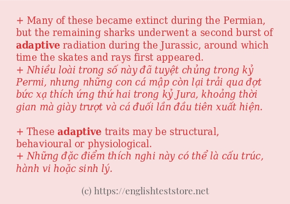 Cách dùng từ adaptive