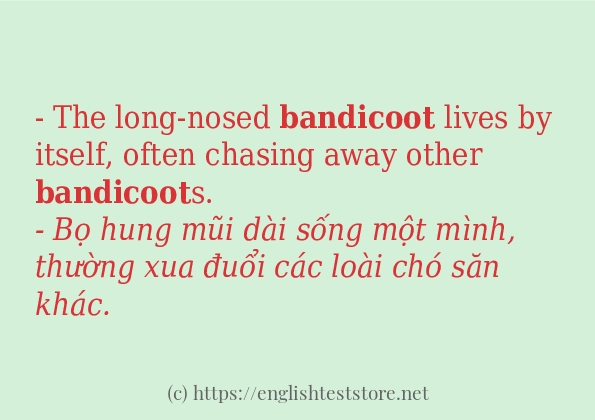 Cách dùng từ bandicoot