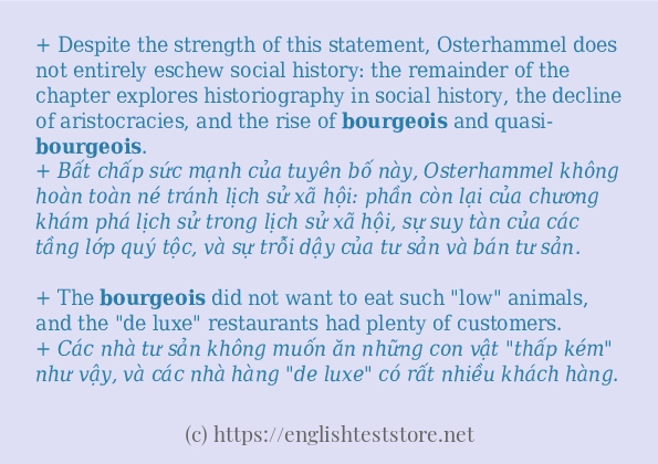 Cách dùng từ bourgeois