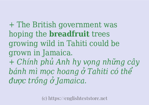 Cách dùng từ breadfruit