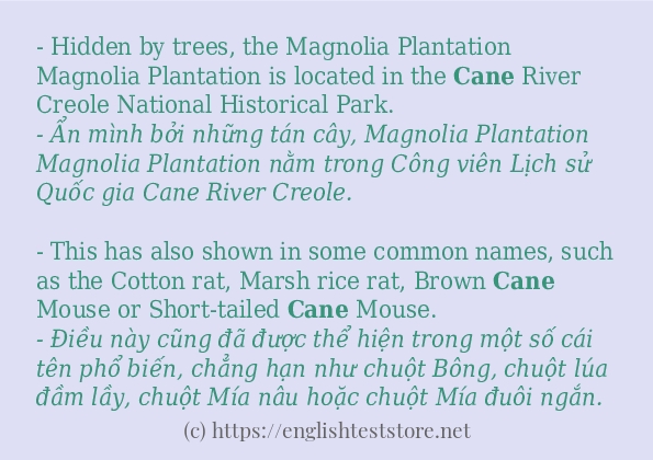 Cách dùng từ cane
