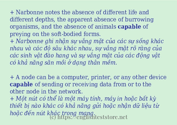 Cách dùng từ capable