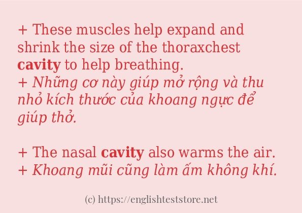Cách dùng từ cavity