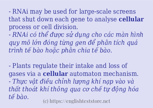 Cách dùng từ cellular