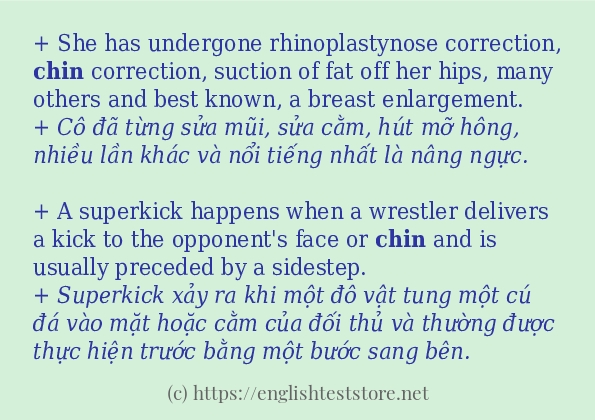Cách dùng từ chin