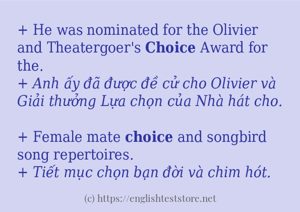 Cách dùng từ choice