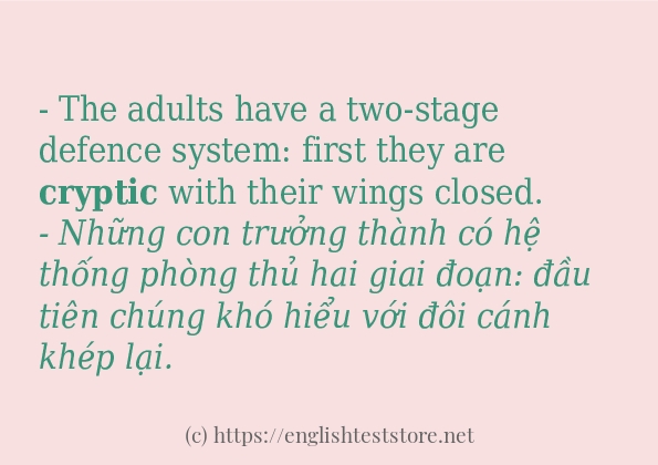 Cách dùng từ cryptic Cách dùng từ cryptic