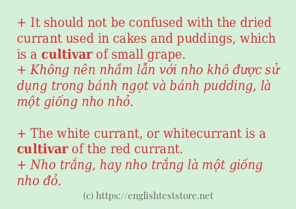 Cách dùng từ cultivar